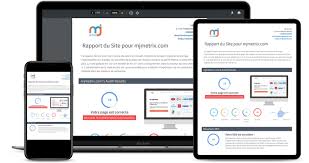 audit seo en ligne gratuit